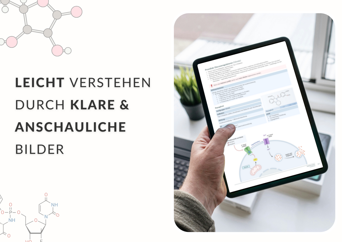 Pharmakologie Skript