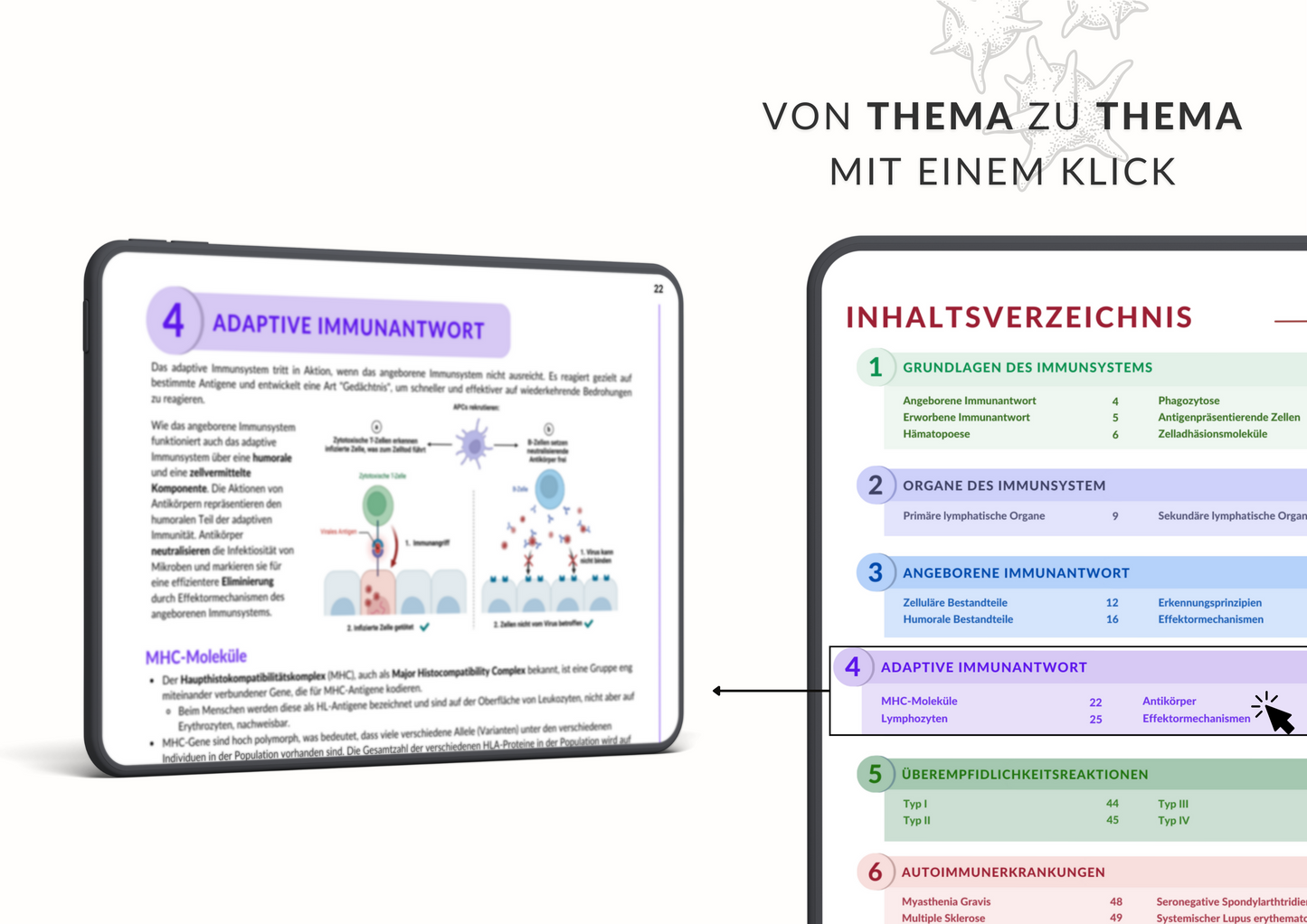 Immunologie Skript