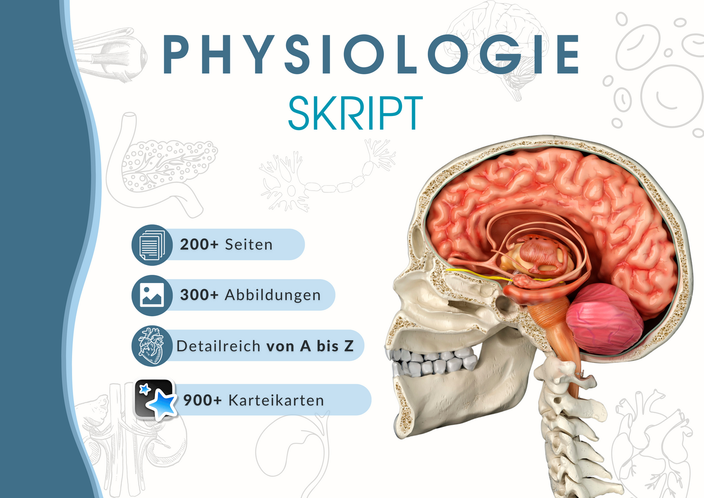 Physiologie Skript