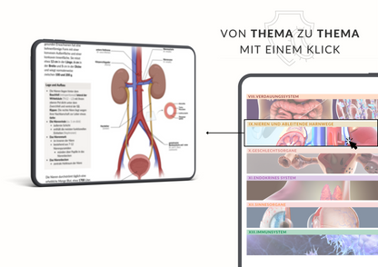 Anatomie Skript