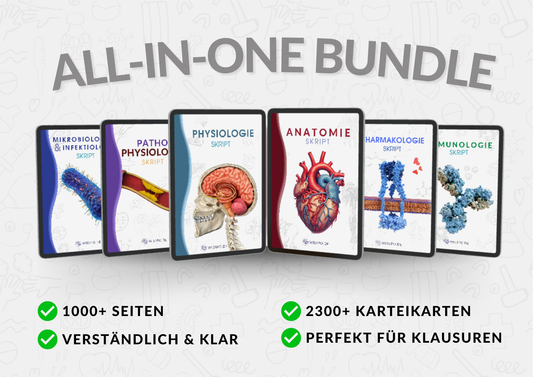 All-in-One Bundle