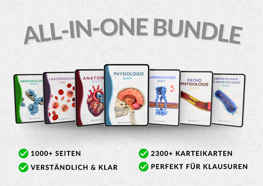 All-in-One Bundle