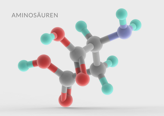 Aminosäuren Liste