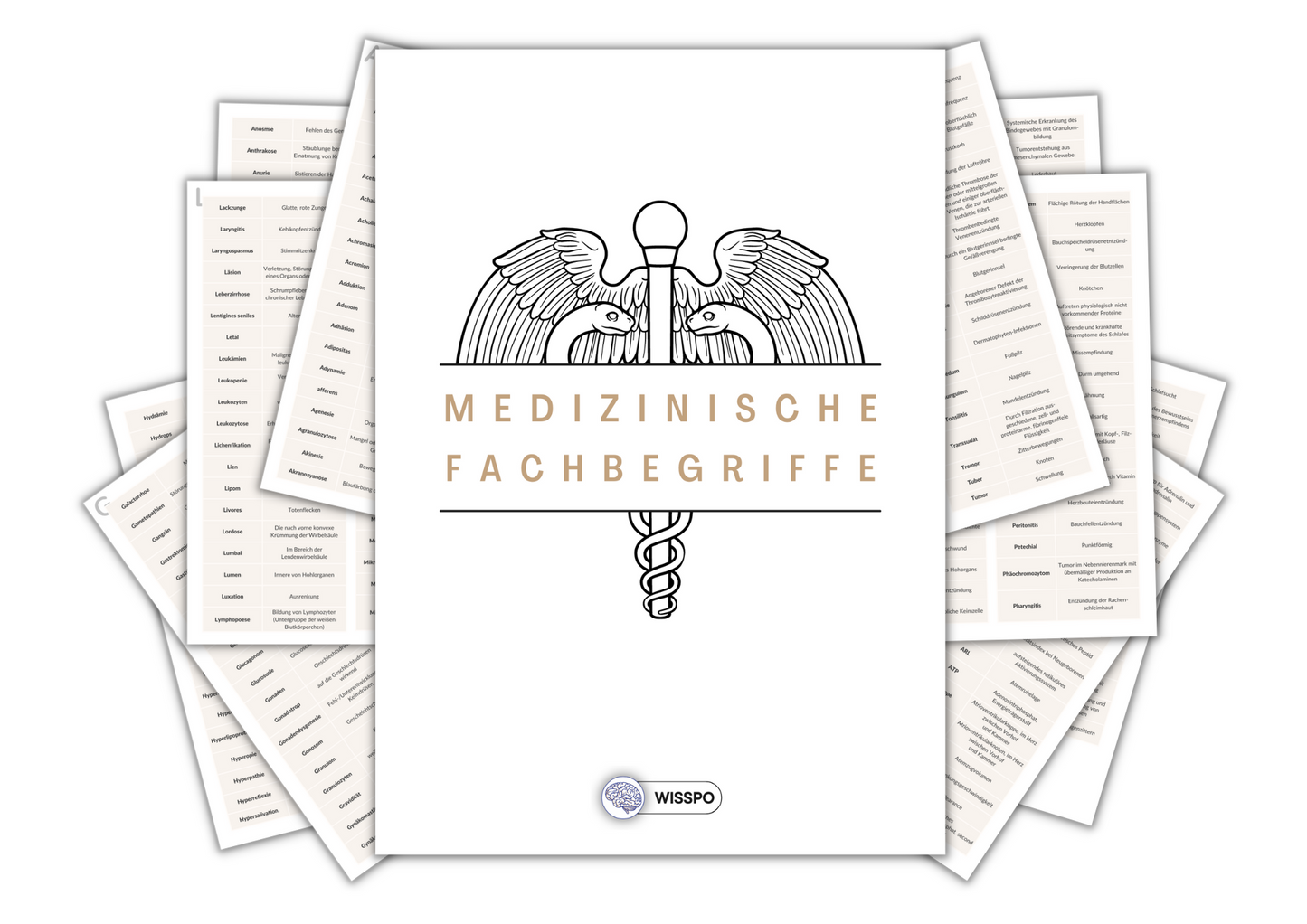 Medizinische Fachbegriffe